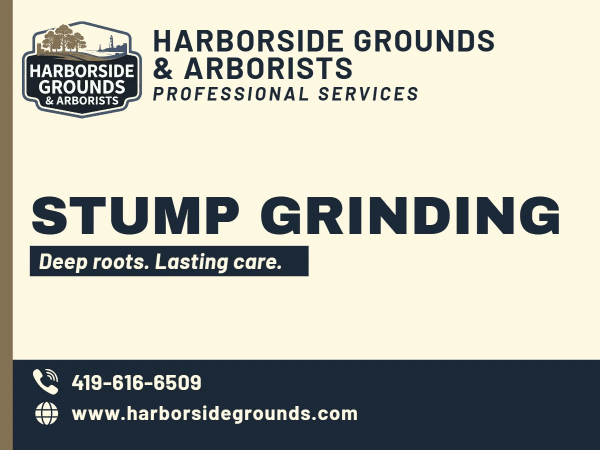Stump Grinding Tree Service