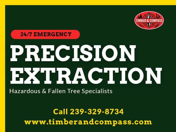 Tree Removal Tree Service