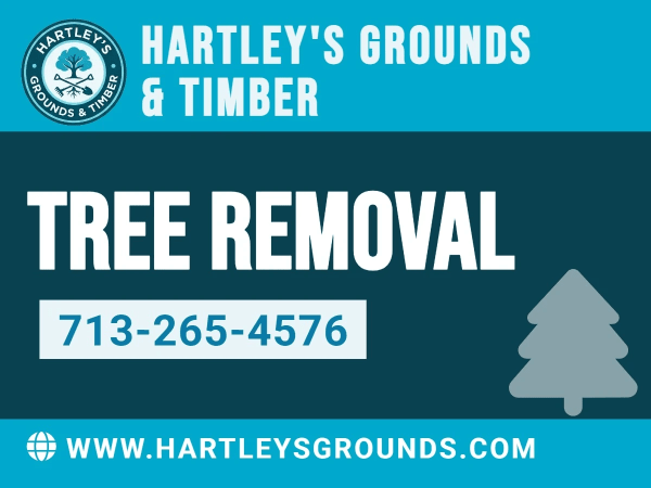 Tree Removal Tree Service