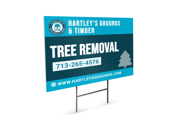 Tree Removal Tree Service