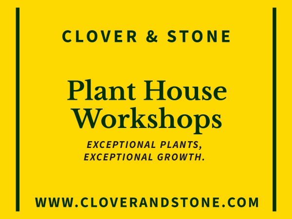 Workshops Greenhouse